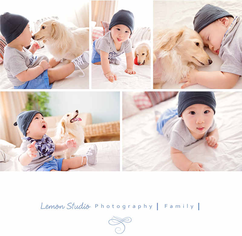 隨手分享寶寶寵物寫真716