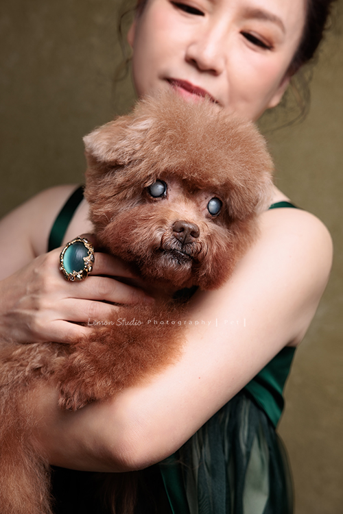 美麗的Monica＆先生＆最愛的狗寶貝第二次來拍照，這次一樣是拍Monica一家＆寵物寫真，狗寶貝年紀大了，但仍是家中可愛的小寶貝，這張是Monica溫柔地抱著狗寶貝，狗寶貝的寵物寫真特寫！