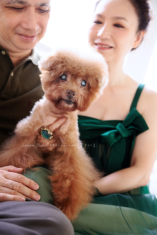 Monica一家＆寵物寫真