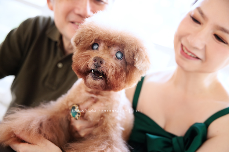 美麗的Monica＆先生＆最愛的狗寶貝第二次來拍照，這次一樣是拍Monica一家＆寵物寫真，狗寶貝年紀大了，但仍是家中可愛的小寶貝，這張是Monica和先生充滿愛地看著可愛的狗寶貝的寵物寫真紀錄！
