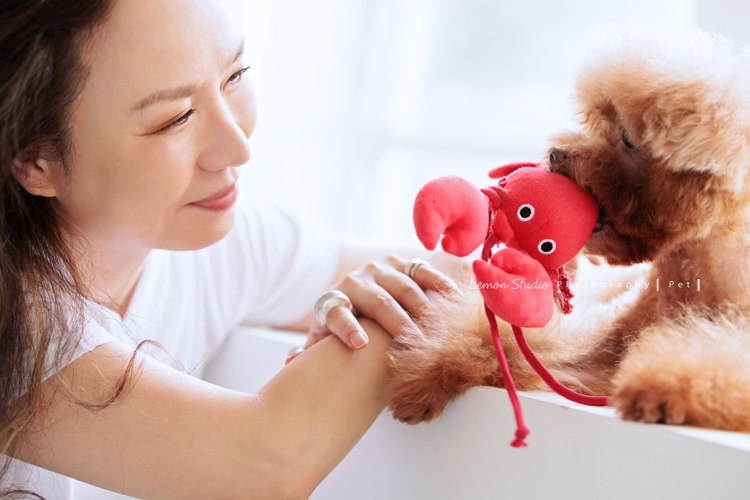 美麗的Monica＆先生＆最愛的狗寶貝第二次來拍照，這次一樣是拍Monica一家＆寵物寫真，狗寶貝年紀大了，但仍是家中可愛的小寶貝，這張是Monica和狗寶貝正在互動的一張很可愛的紀錄！狗寶貝嘴裡咬著牠的玩具！