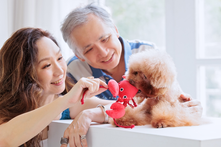 美麗的Monica＆先生＆最愛的狗寶貝第二次來拍照，這次一樣是拍Monica一家＆寵物寫真，狗寶貝年紀大了，但仍是家中可愛的小寶貝，這張是Monica和先生和狗寶貝在玩的小紀錄！好可愛的一張相片！
